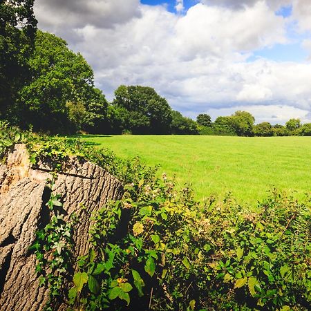 Vila Oak Mead Wrexham Exteriér fotografie