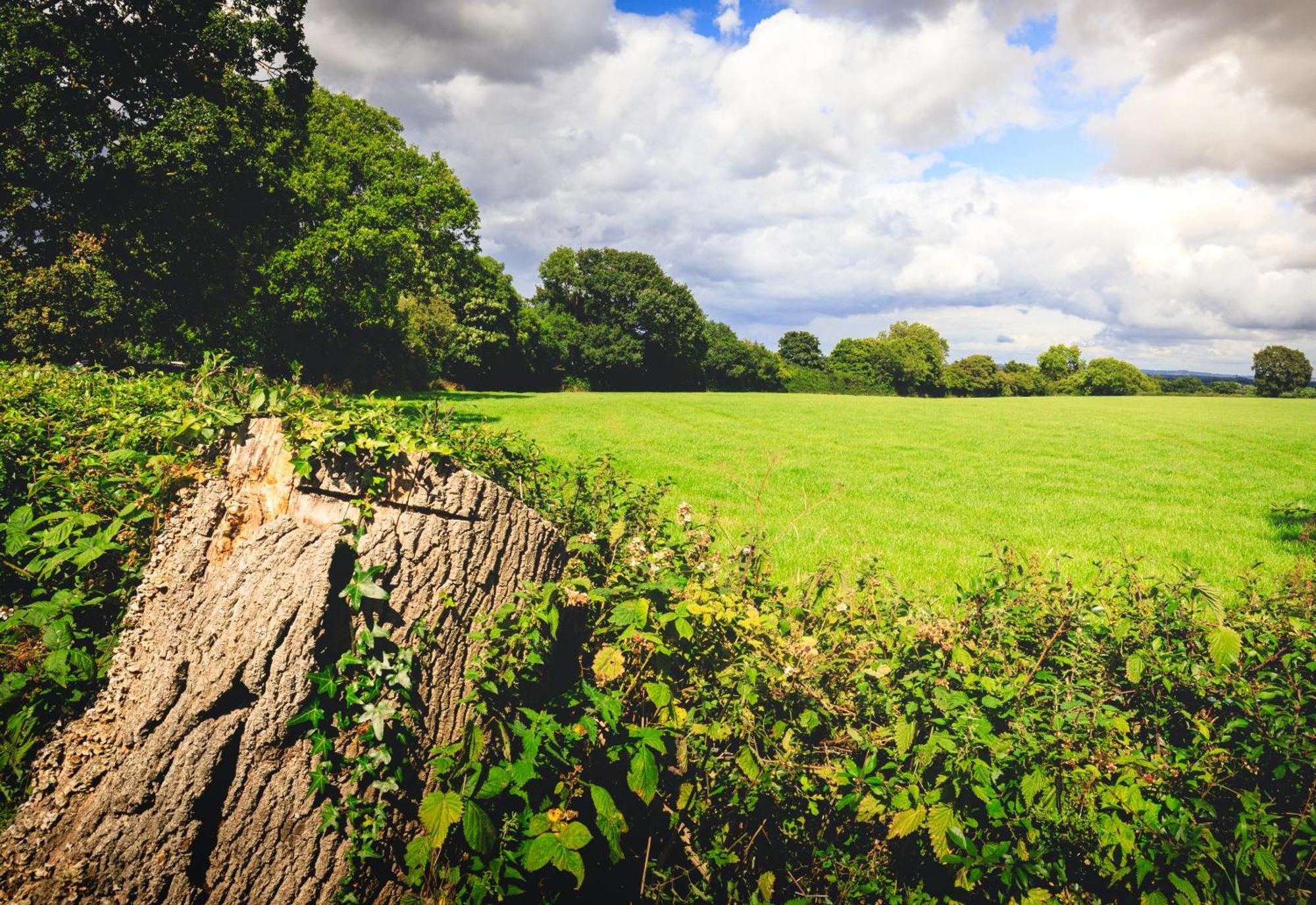 Vila Oak Mead Wrexham Exteriér fotografie